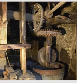 Ekoloska in navadna krmila evita