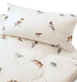 kvalitetna ekoloska lezisca ljubljana