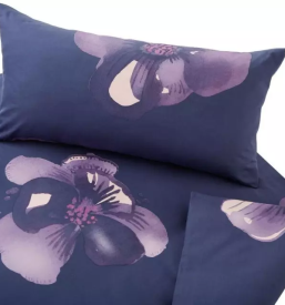 kvalitetna ekoloska lezisca ljubljana