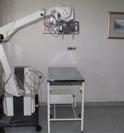 Endoskopija in kirurgija za mačke slovenija