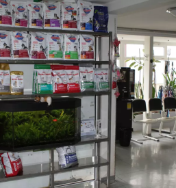 Endoskopija in kirurgija za pse in mačke Slovenija