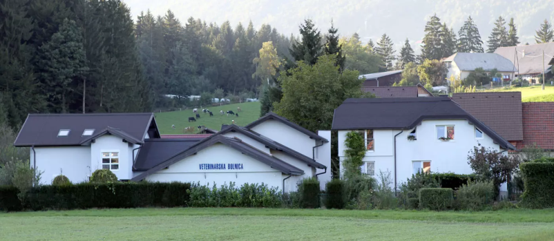 Pri nas izvajamo endoskopijo in kirurgijo tako za pse kot tudi za mačke iz vse Slovenije