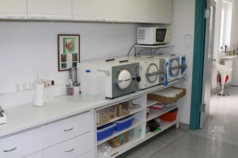 Endoskopija in kirurgija za pse in mačke v Sloveniji