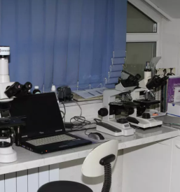 Endoskopija in kirurgija za pse slovenija