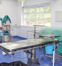 Endoskopija in kirurgija za pse slovenija