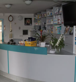 nevrokirurgija pri psih slovenija