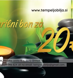 Energijski izdelki ormoz