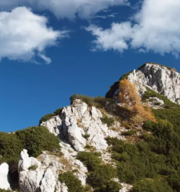 Erjavceva koca jesenice