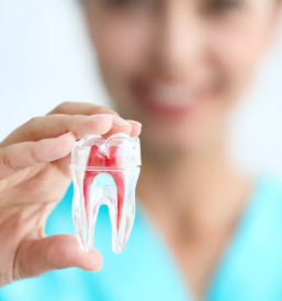 Estetsko zobozdravstvo trzin