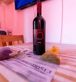 Family apartment moravske toplice