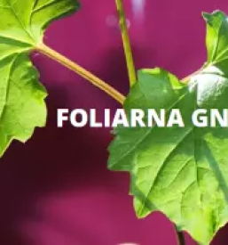 Fermentator gnojevke ljubljana