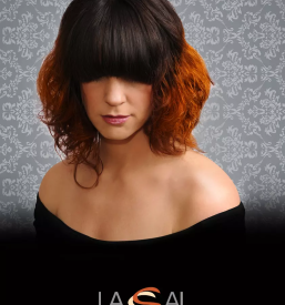 Frizerski salon kamnik