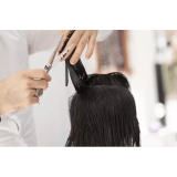 BRIGITA PUŠNIK S.P.