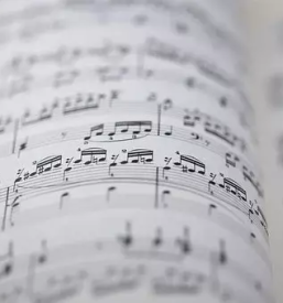 Glasbeni programi Celje