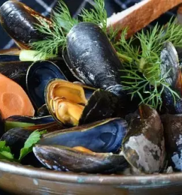 Good restaurant Pirano