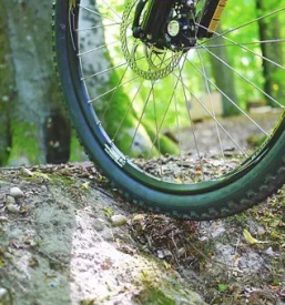 Gorsko kolo cerklje na gorenjskem