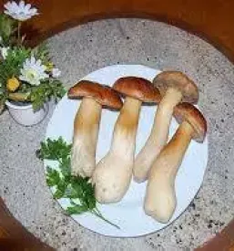 Poceni gostilna Markovščina, Materija