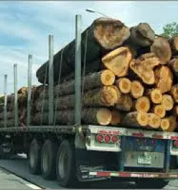 Gozdarske storitve Ljubljana, Slovenija