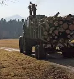 Gozdarske storitve dolenjska