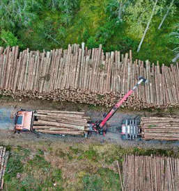 Gozdarski prevozi planina okolica