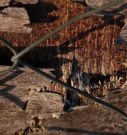 Gozdarski prevozi planina okolica