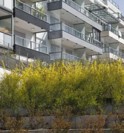 Prodaja novograjenih stanovanj v Sloveniji