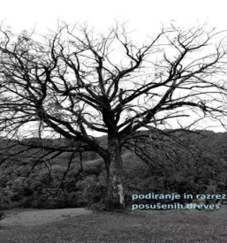 Hisniska dela podravska