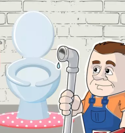 Hišniške storitve Vipava, Goriška