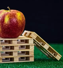 Hitri paletni prevozi blaga po sloveniji