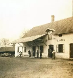 Kakovostno hladno stiskano bučno olje Slovenija