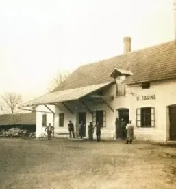 Kakovostno hladno stiskano bučno olje Slovenija