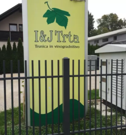 Hochwertige pfropfreben Preis