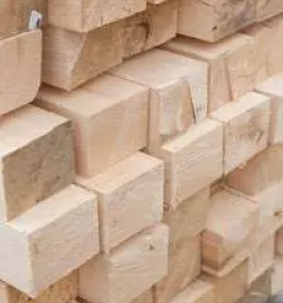 Holzschneiden in slowenien