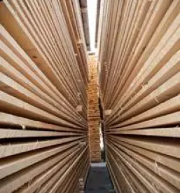 Holzschneiden in slowenien