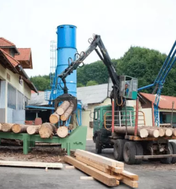 Holzschneiden in slowenien