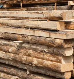 Holzschneiden in slowenien