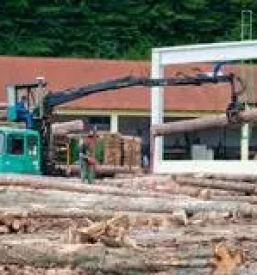 Holzschneiden in slowenien