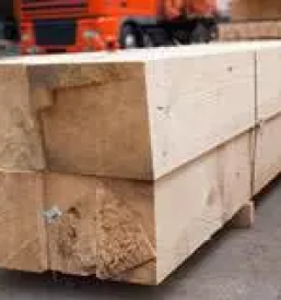 Holzschneiden in slowenien