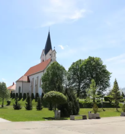 Homeopatska zdravila Ptuj