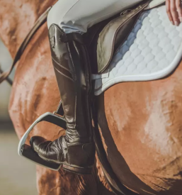 Horse riding bled slovenia
