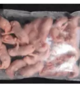 Hrana za eksoticne zivali slovenija