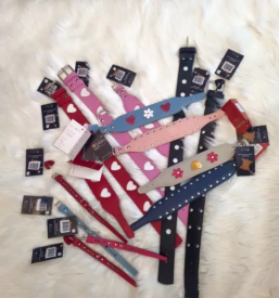 Trgovina za živali Šiška