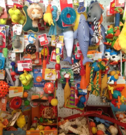 Hrana za male zivali ljubljana siska