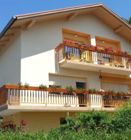 Izdelava fasade savinjska