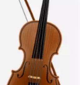 Izdelava godal slovenija