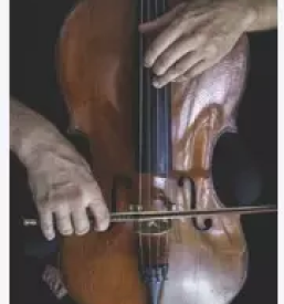 Izdelava godal slovenija