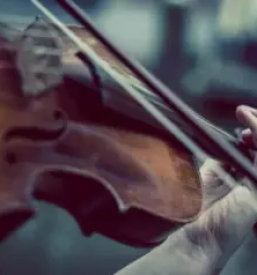 Izdelava godal slovenija