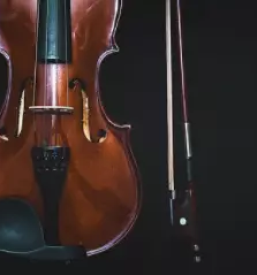 Izdelava godal slovenija