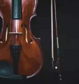 Izdelava godal slovenija