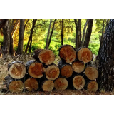 IZDELAVA SEKANCEV IN PREVOZ SANDI ŠULIGOJ S.P.